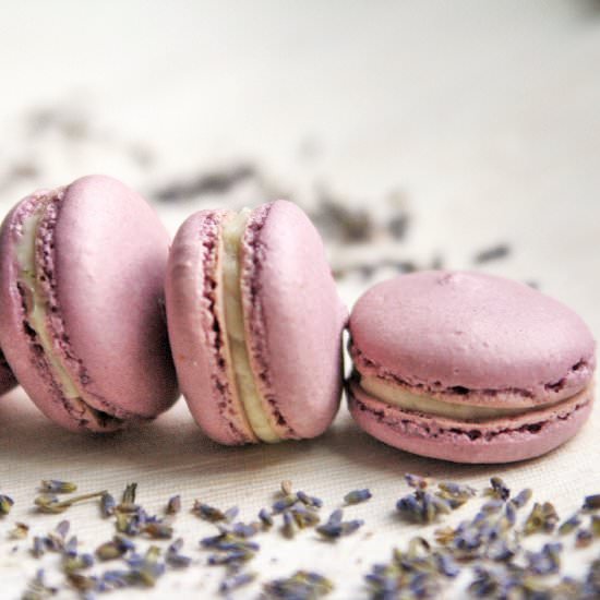 Lavender Honey Macarons - Recipe photo by thetastybite