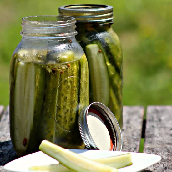 Easy Refrigerator Pickles - Recipe photo by thejuicebox