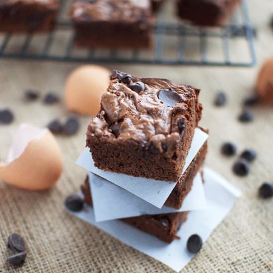 Chocolate Chip Nutella Brownies - Recipe photo by LSFoster2