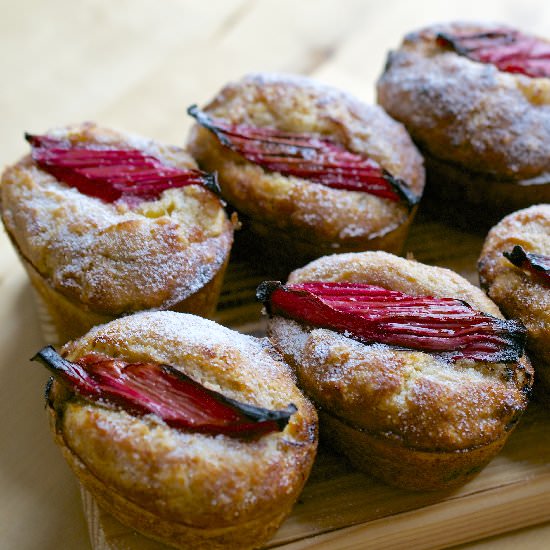 Rhubarb and Custard Friands - Recipe photo by JoJoNookAndCranny