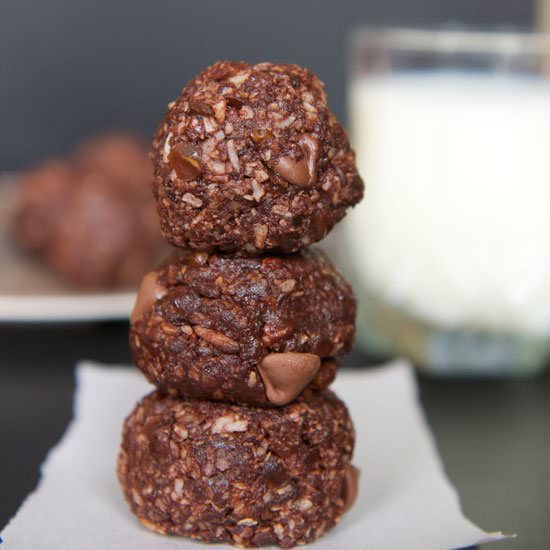 Simple Chocolate Coconut Bites - Recipe photo by thealmondeater