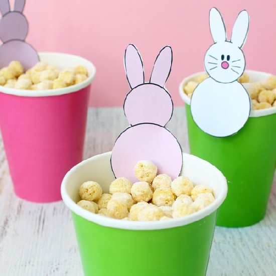 Cottontail snack - Recipe photo by chic cookies