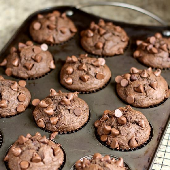 200 Calorie Double Fudge Muffins - Recipe photo by JessicaLovesButter