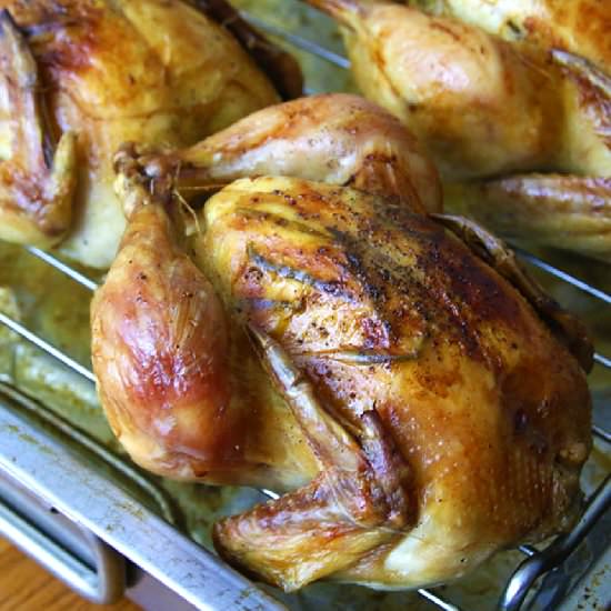 Roasted Cornish Game Hens - Recipe photo by daringgourmet