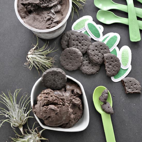 Dark Chocolate Thin Mint Ice Cream - Recipe photo by designlifekids