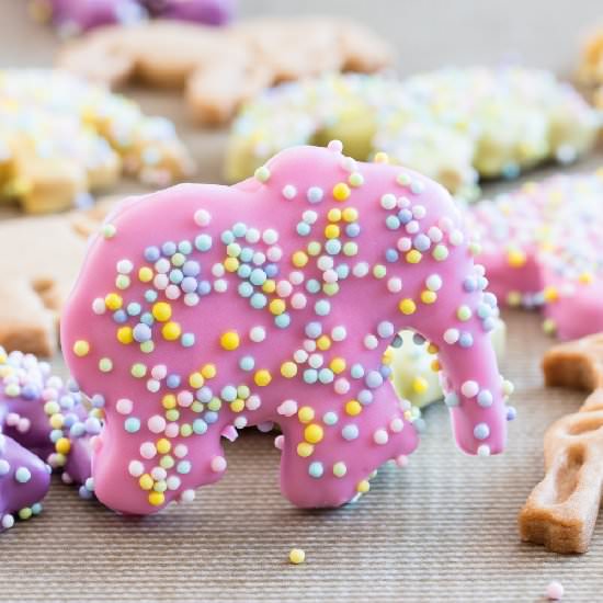 Spring Circus Animal Cookies - Recipe photo by bakelovegive