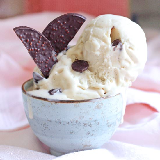 Vegan Vanilla Ice Cream - Recipe photo by TreeseLoveHappiness