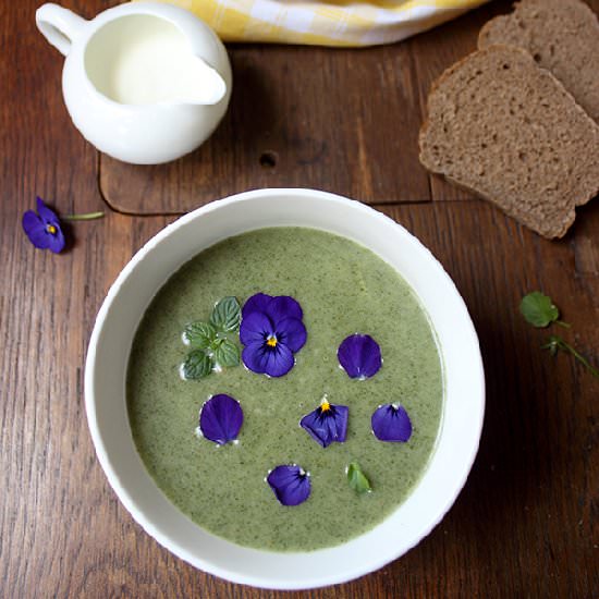 Stinging Nettle Soup - Recipe photo by AngellovesCooking