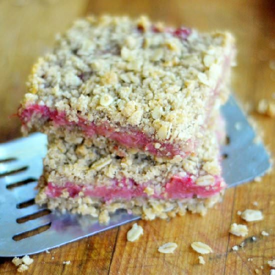Rhubarb Crumb Bars - Recipe photo by theviewfromgreatisland