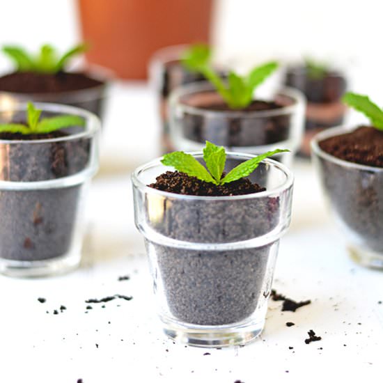 Chocolate Dirt Pudding Cups - Recipe photo by bethcakes