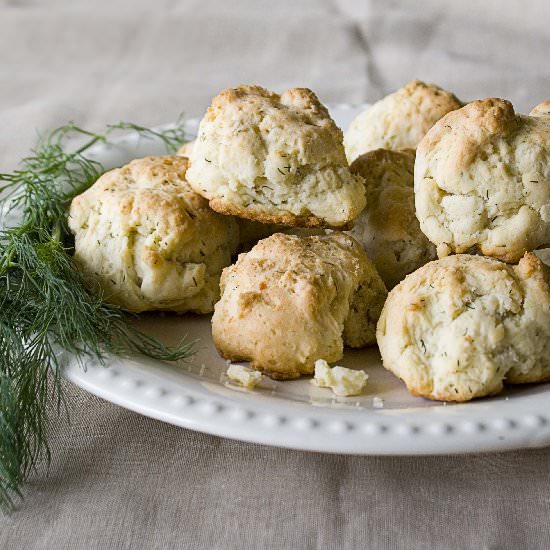 Cheddar-Dill Biscuits - Recipe photo by The Hungry Lovers