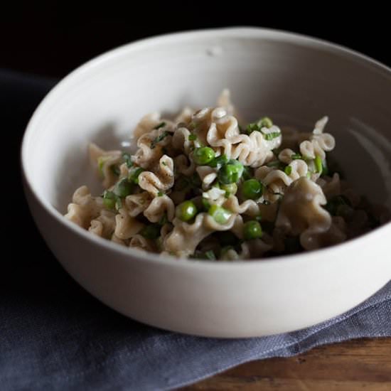 Creamy Springtime Pasta - Recipe photo by food52