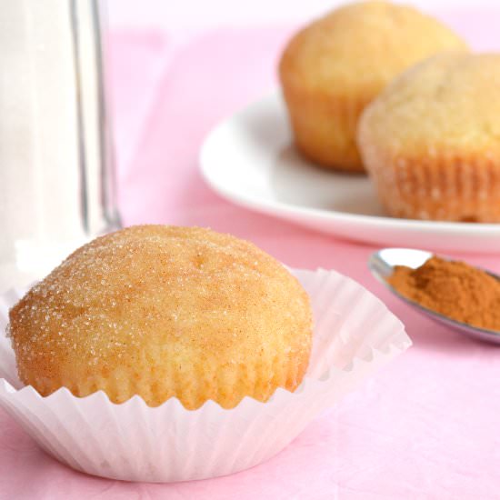 French Breakfast Puffs - Recipe photo by garnishandglaze