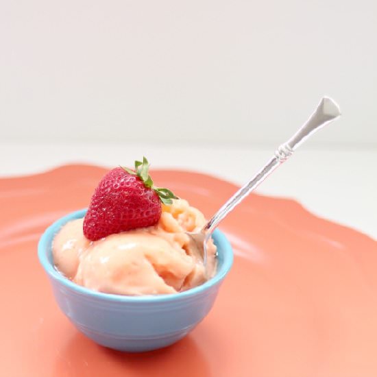Skinny Tropical Fruit Sorbet - Recipe photo by girllovesglam