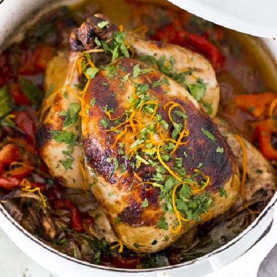 Zesty Cuban Chicken - Recipe photo by Feasting at Home