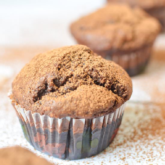 Double Choco Banana Oat Muffins - Recipe photo by curriedcantaloupe