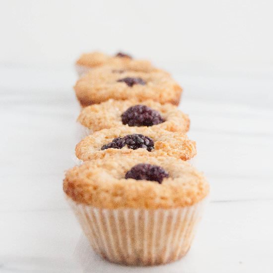 Whole Wheat Blackberry Mini Muffins - Recipe photo by Heathers Sweets And Treats