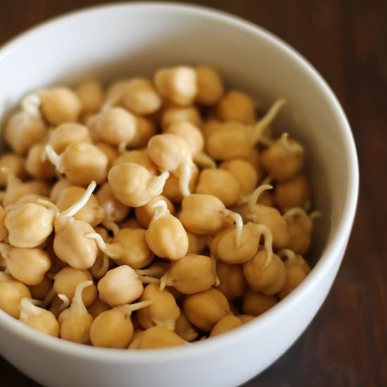 How to Sprout Chickpeas - Recipe photo by roastedroot
