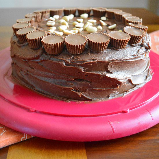 Chocolate Peanut Butter Cake - Recipe photo by jeanieandluluskitchen