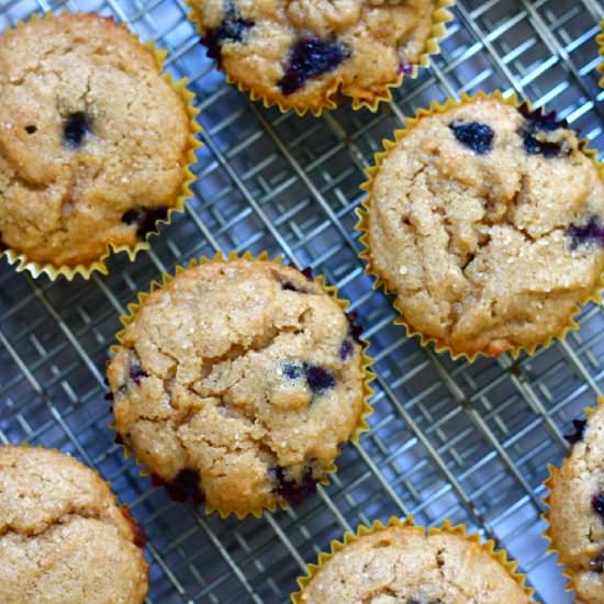 Blueberry Lemon Brown Sugar Muffins - Recipe photo by Confectionary Tales
