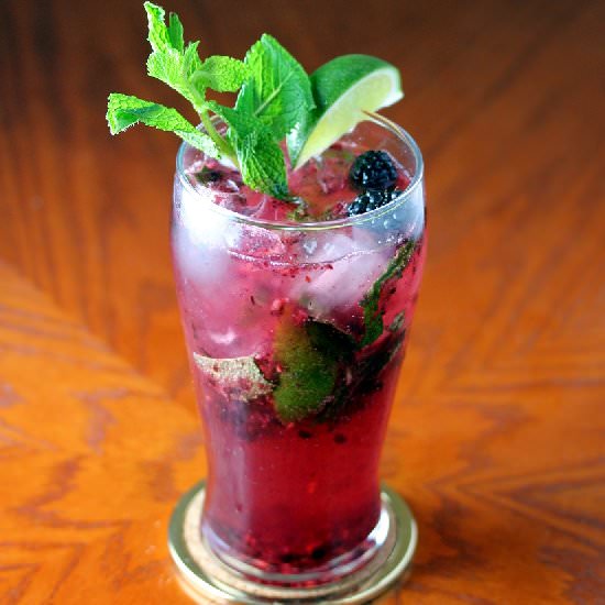 Blackberry Mint Sparkler - Recipe photo by lisasdinnertimedish