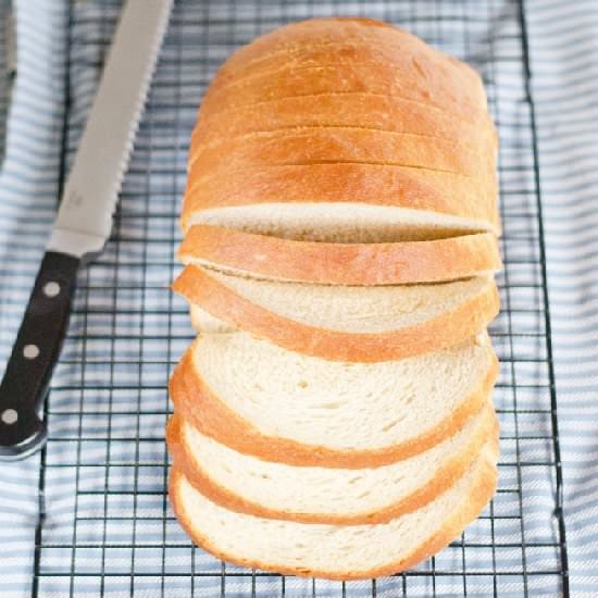 Buttermilk White Bread - Recipe photo by amykayskitchen