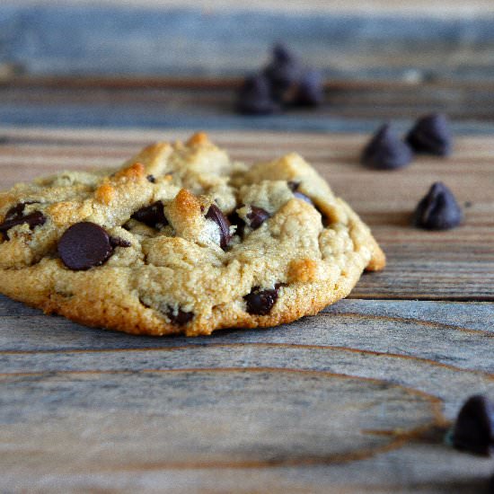 Peanut Butter Chocolate Chip Cookie - Recipe photo by Unruly Bliss