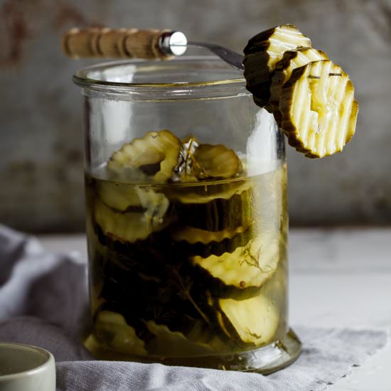 Home-made dill pickles - Recipe photo by Simply Delicious