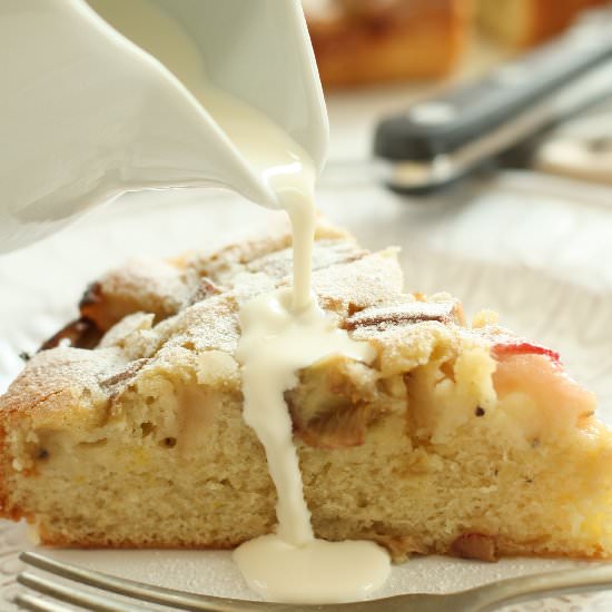 Rhubarb Cardamom Cake - Recipe photo by ScaredyCatKitchen