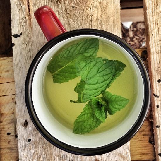 Mint Tea - Recipe photo by Spadeforkspoon