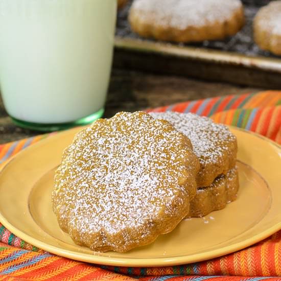 Cinnamon and Piloncillo Cookies - Recipe photo by magnolia days