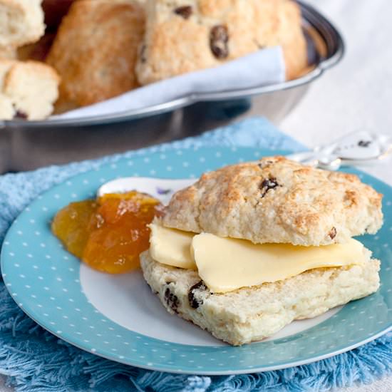 Fruit Scones - Recipe photo by LanaAnn