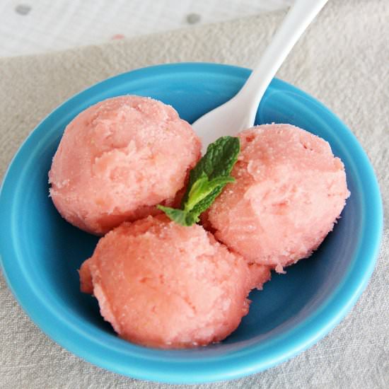 Rhubarb-Strawberry-Ginger Sorbet - Recipe photo by theseasonedtraveler