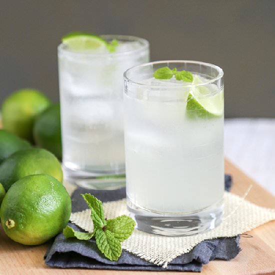 Gin and Tonic - Recipe photo by the little epicurean