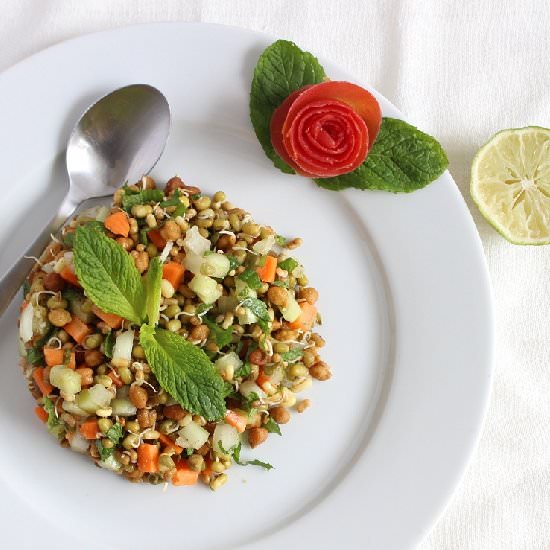 Healthy Sprouted Bean Salad - Recipe photo by werecipes