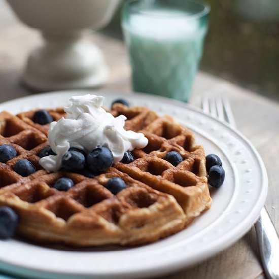 Gluten-Free Waffles - Recipe photo by lia griffith