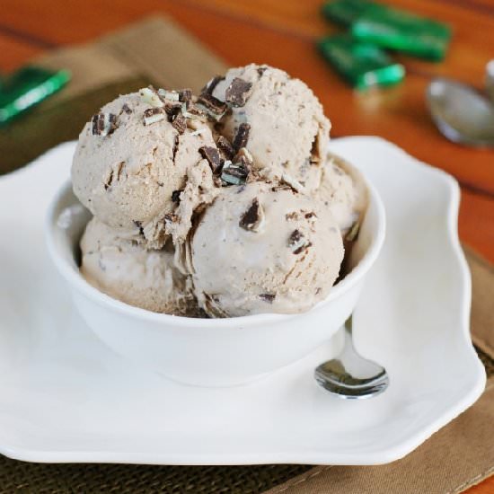 Chocolate Mint Chip Ice Cream - Recipe photo by thekitchenismyplayground