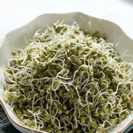 How to grow sprouts - Recipe photo by Shweta_mt