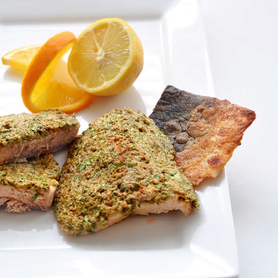 Poached Salmon Fennel Herb Crust - Recipe photo by Tony Rose