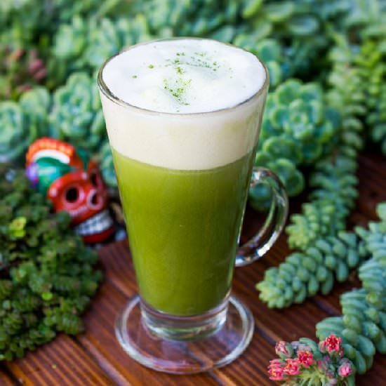 Homemade Matcha Tea Latte - Recipe photo by TheHorticult