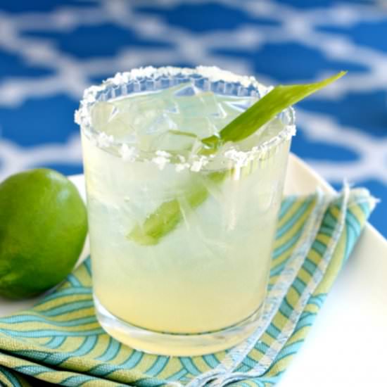 Skinny Aloe Margaritas - Recipe photo by yoursouthernpeach