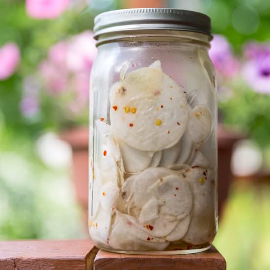 Japanese Style Haikuri Turnips - Recipe photo by myveganp