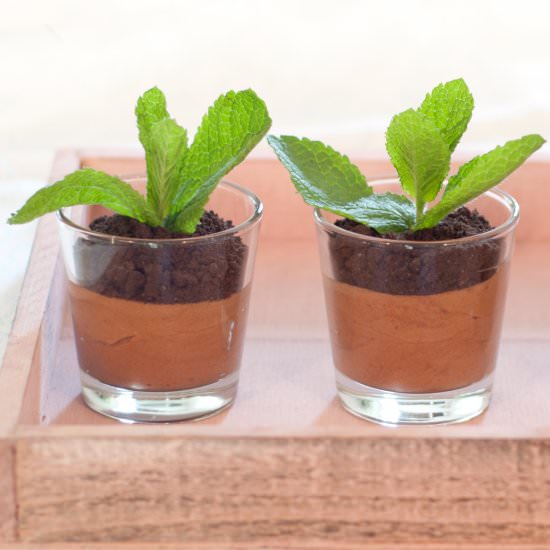 Edible chocolate mousse plants - Recipe photo by Eitjekookt
