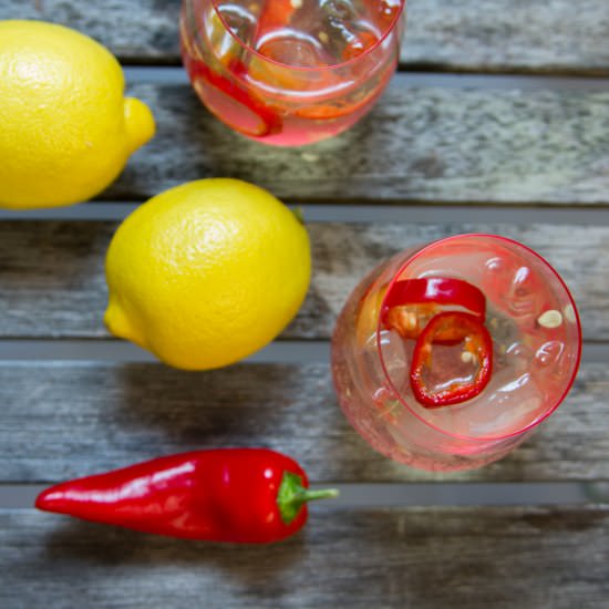 Zesty Wine Spritzer - Recipe photo by April Golightly
