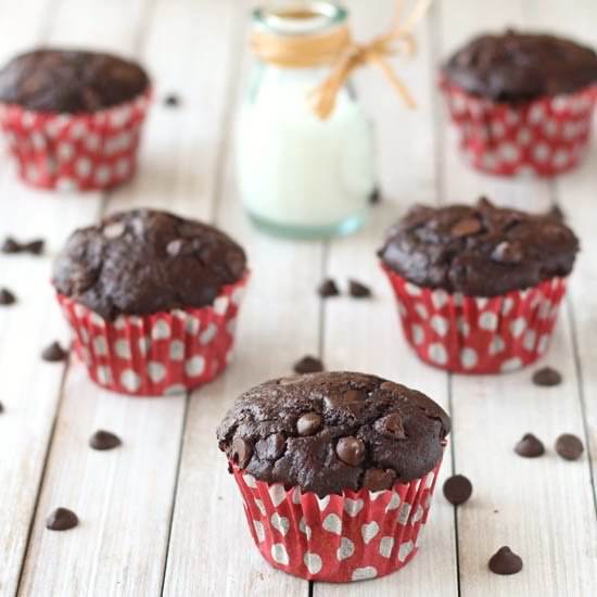 Double Chocolate Chip Muffins - Recipe photo by ChillyFrosting