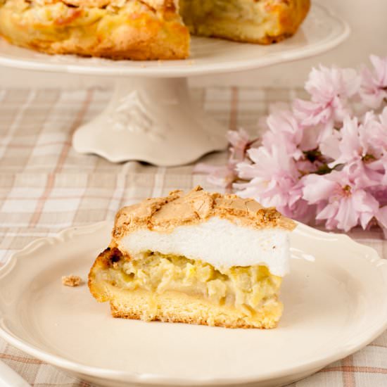 Rhubarb Sponge Cake - Recipe photo by mariola1903