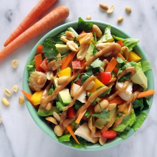 Peanut-y Mango Thai Chicken Salad - Recipe photo by PutOnYourCakePants