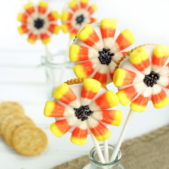 Sunflower Cookie Pops - Recipe photo by MissCandiQuik