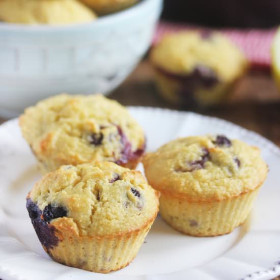 Paleo Lemon Blueberry Muffins - Recipe photo by lexiscleankitchen