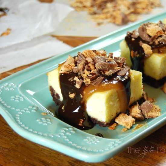 Peanut Butter Lover Cheesecake Bars - Recipe photo by Stephanickety